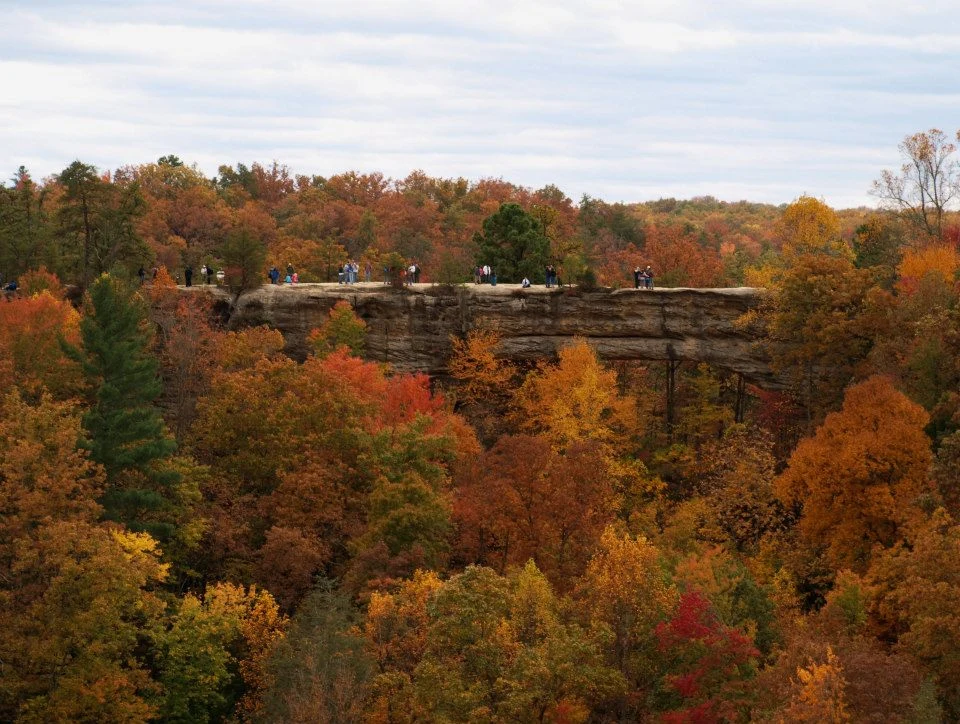 Autumn colors around Natural Bridge